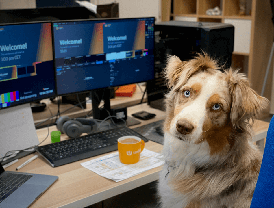 Dog-friendly workplace